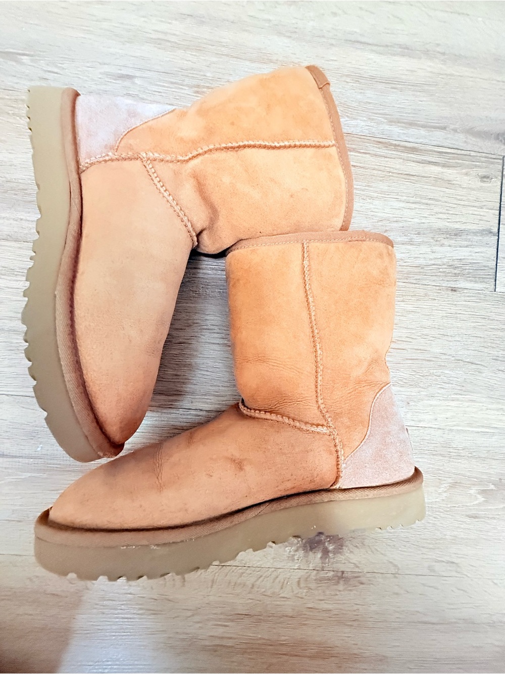 UGG Women's Short Classic Boot in Chestnut Suede